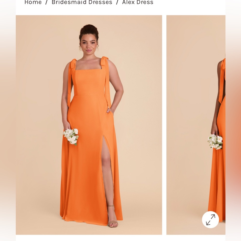 NEW NEVER WORN Birdy Grey Bridesmaid/Wedding Guest Dress- Alex Chiffon Apricot